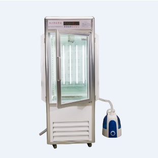 С�������˹�����������